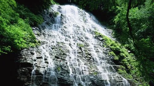 节能数字化高质量